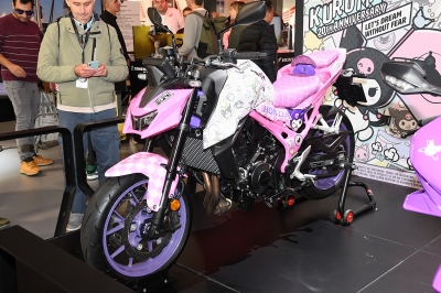 Cliquer pour voir l'image en taille réelle