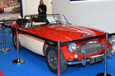 Cliquer pour voir l'image en taille réelle