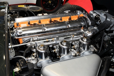 Cliquer pour voir l'image en taille réelle