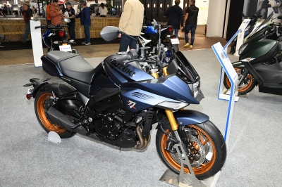 Cliquer pour voir l'image en taille réelle