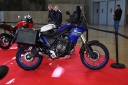 Nom du fichier=CRO_0925.jpg
Taille du fichier=1173Ko
Dimensions : 1500x999
Ajouté le : 07 Mars 2024 CRO_0925.jpg