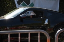 Nom du fichier=CRO_5529.jpg
Taille du fichier=957Ko
Dimensions : 1500x999
Ajouté le : 24 Août 2025 CRO_5529.jpg