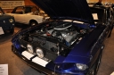DSC_0044~54.jpg