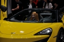 Nom du fichier=DSC_0188~24.jpg
Taille du fichier=1028Ko
Dimensions : 1548x1028
Ajouté le : 07 Mars 2019 DSC_0188~24.jpg