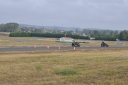 DSC_0252~2.jpg