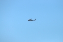 DSC_0843~1.jpg