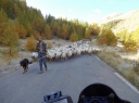 Nom du fichier=IMG-20151008-WA0009.jpg
Taille du fichier=1055Ko
Dimensions : 1371x1028
Ajouté le : 25 Octobre 2015 IMG-20151008-WA0009.jpg